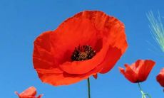 梦见被鬼追杀逃跑