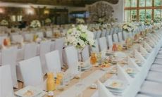 一句话代表十二星座