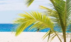 男人梦见老鼠什么征兆 男人梦见老鼠财运好不好