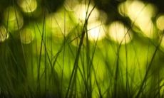 梦见海啸却躲过一劫 梦见几十米高的巨浪的画面