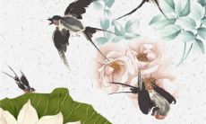 狗2022年是犯太岁吗 如何化解转运