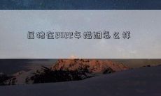 属猪在2022年婚姻怎么样