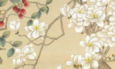 1995年2022年猪运势