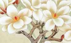 2022年运势12生肖运势虎