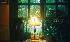 梦见开电话会议