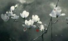 大溪水虎男2022年运势