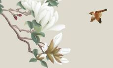 92猴在2022的运势如何