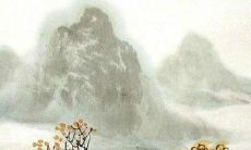 2022年1986年属虎女感情运势