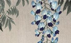 属虎的犯太岁的年份