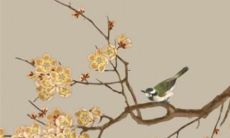 属虎人虎年戴什么化解