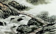 2010年虎年命咋样