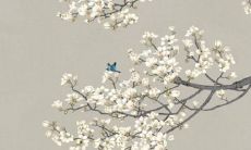 第一运程 2022年属狗1月运程解析