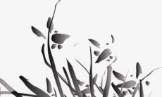 2022年犯太岁属狗 虎年运势