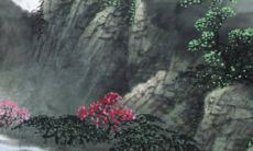 88属猪2022年全年每月运势