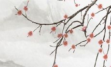 算命2022年运势桃花