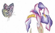 1983年属猪39岁有一道坎 财富运势不佳