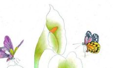 三元九运2022年属蛇运势详解