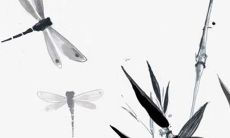 1986年的老虎2022年运势