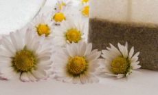 不同的人梦到剥板栗什么意思