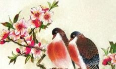 1984年的人2022年运势