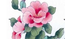 75年兔男在2022年运势