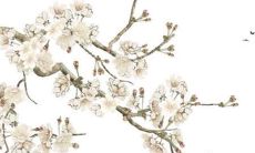 第一运程 2022年属狗每月运势详解