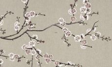 属狗人2022年喜欢色和忌讳色 吉凶预测