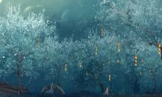 虎年犯太岁佩戴什么