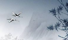 这几个星座是电子产品死忠粉