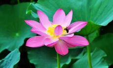 梦见爸爸投资失败是什么意思