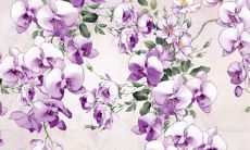 2022年生肖运势虎1986