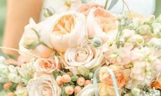 就爱搞事！这些星座总有一天会被教做人