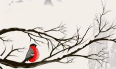 1943年的羊2022年运势