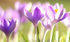 梦见爬坡吃力是什么意思