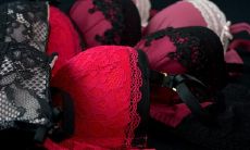 梦见两头猪在交配是什么意思