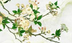 详解属虎人2022年运势