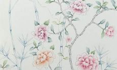 壬寅年巳时出生人2022年运势如何