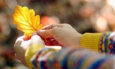 梦见林更新和自己一起吃鸡