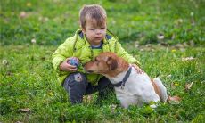 梦见我死去的爷爷