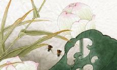 克莱尔2022最新一周运势