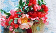 高能学霸，十二星座最喜欢哪一科