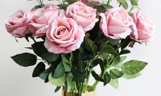 十二星座脚上纹身字母