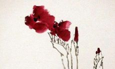 虎年有哪些生肖犯太岁