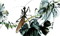 2022年属狗每月运势女性