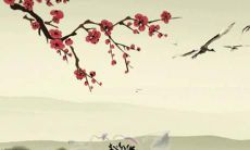 1986的女2022年运势