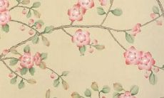 1986年虎女一生婚姻状况