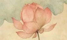 兔年运势2022年每月