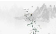 84年属鼠人最旺的年龄