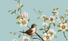 2022年犯太岁都有什么属相