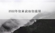 2022年生肖虎出生运势